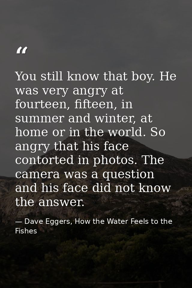 You still know that boy. He was very angry at fourteen, fifteen, in summer and winter, at home or in the world. So angry — Dave Eggers, How the Water Feels to the Fishes