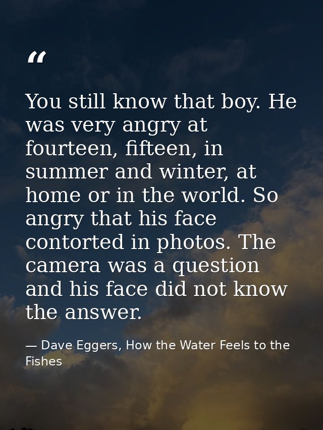 You still know that boy. He was very angry at fourteen, fifteen, in summer and winter, at home or in the world. So angry — Dave Eggers, How the Water Feels to the Fishes