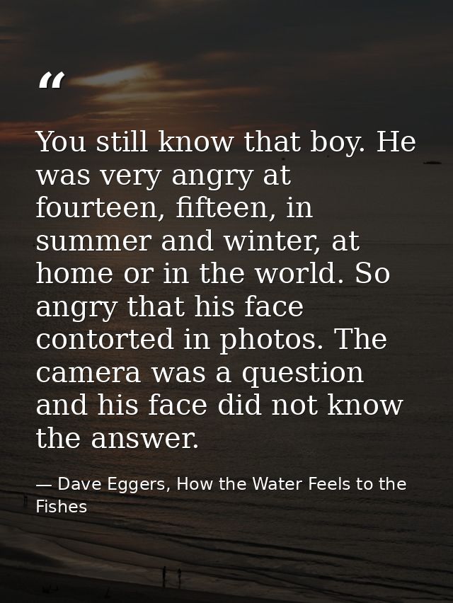 You still know that boy. He was very angry at fourteen, fifteen, in summer and winter, at home or in the world. So angry — Dave Eggers, How the Water Feels to the Fishes