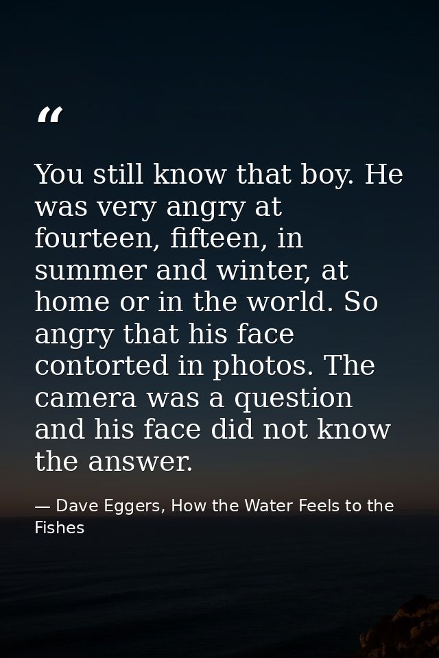 You still know that boy. He was very angry at fourteen, fifteen, in summer and winter, at home or in the world. So angry — Dave Eggers, How the Water Feels to the Fishes