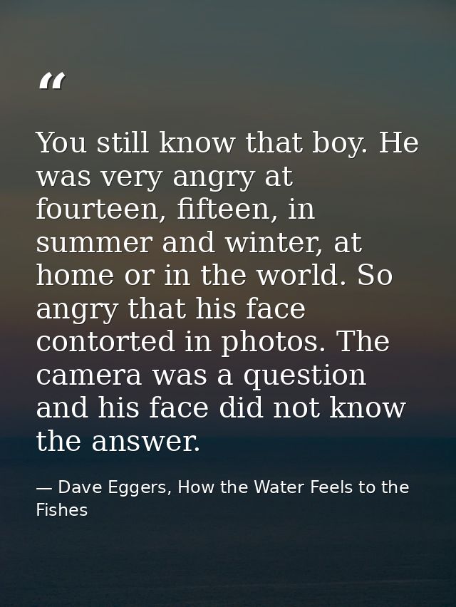 You still know that boy. He was very angry at fourteen, fifteen, in summer and winter, at home or in the world. So angry — Dave Eggers, How the Water Feels to the Fishes