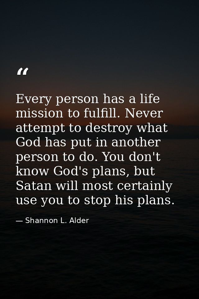Every person has a life mission to fulfill. Never attempt to destroy what God has put in another person to do. You don't — Shannon L. Alder