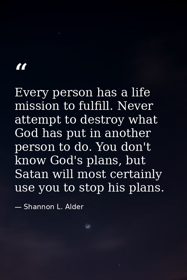 Every person has a life mission to fulfill. Never attempt to destroy what God has put in another person to do. You don't — Shannon L. Alder