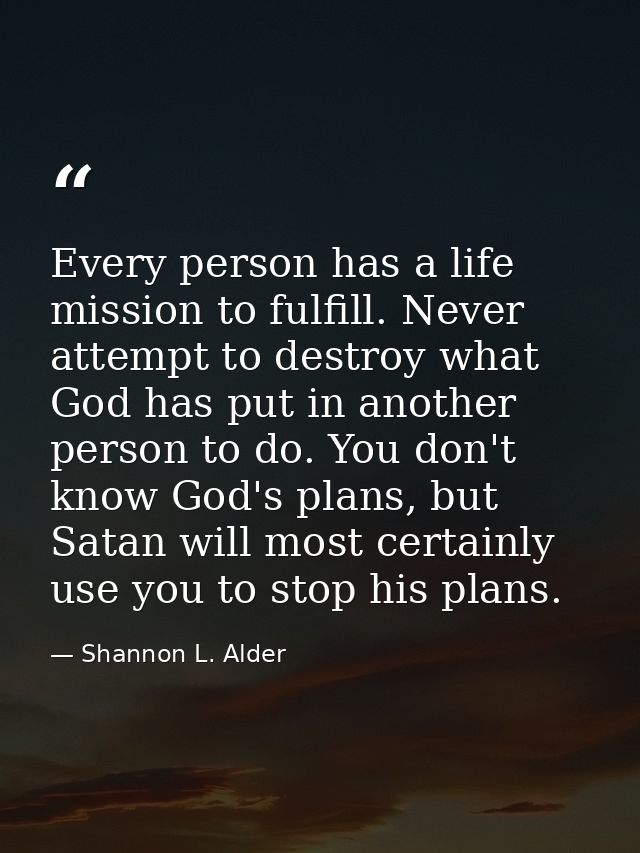 Every person has a life mission to fulfill. Never attempt to destroy what God has put in another person to do. You don't — Shannon L. Alder