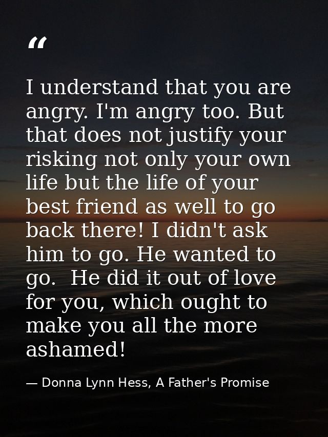 I understand that you are angry. I'm angry too. But that does not justify your risking not only your own life but the li — Donna Lynn Hess, A Father's Promise