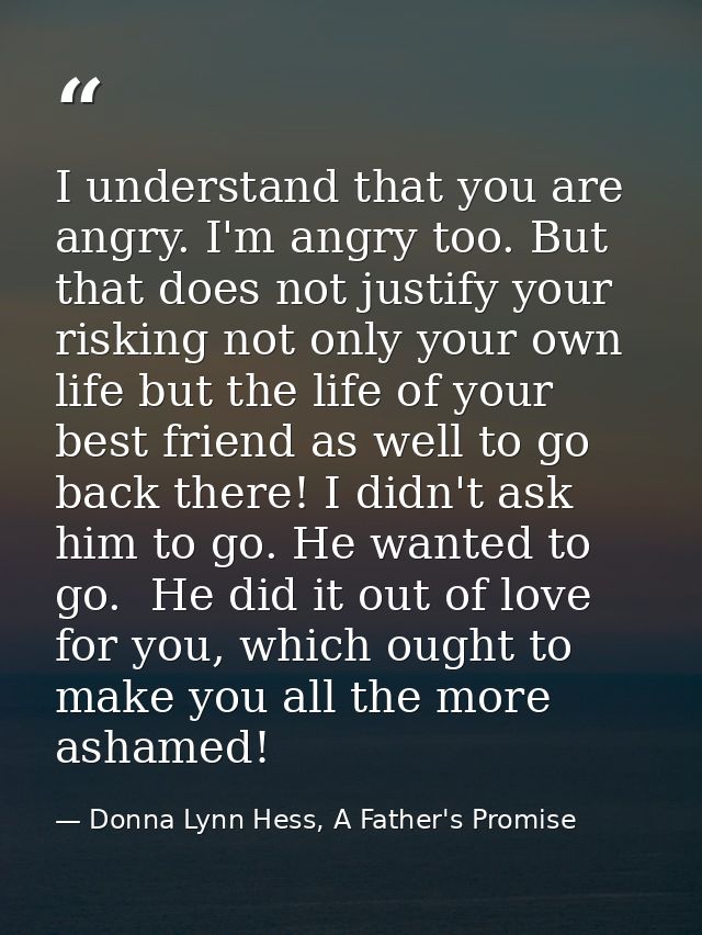 I understand that you are angry. I'm angry too. But that does not justify your risking not only your own life but the li — Donna Lynn Hess, A Father's Promise