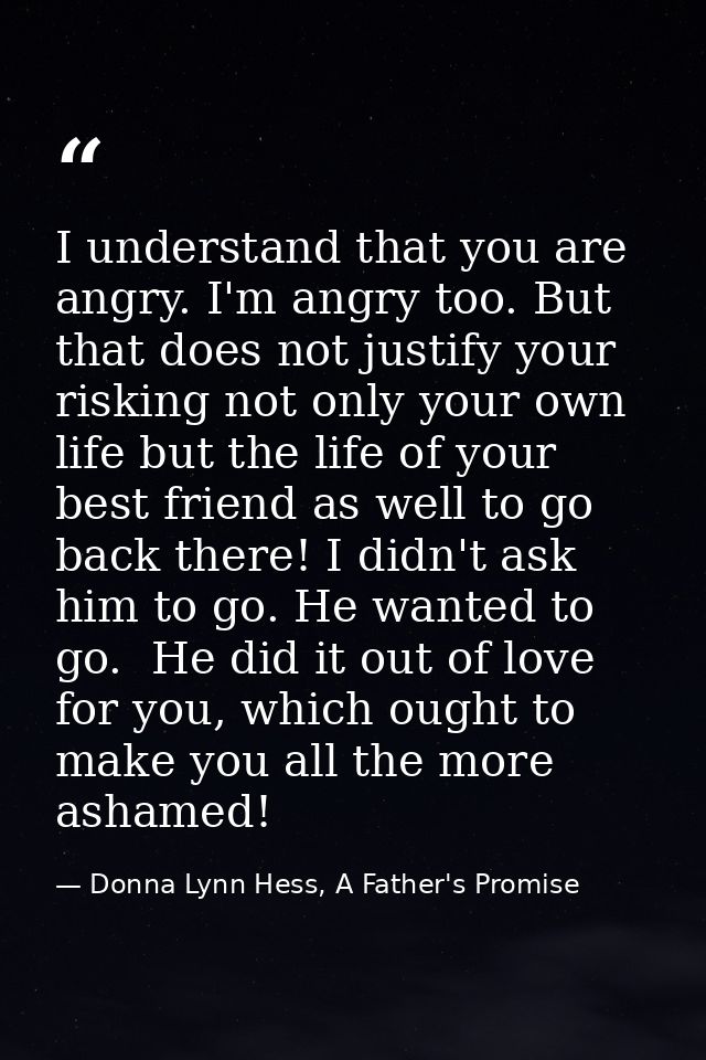 I understand that you are angry. I'm angry too. But that does not justify your risking not only your own life but the li — Donna Lynn Hess, A Father's Promise