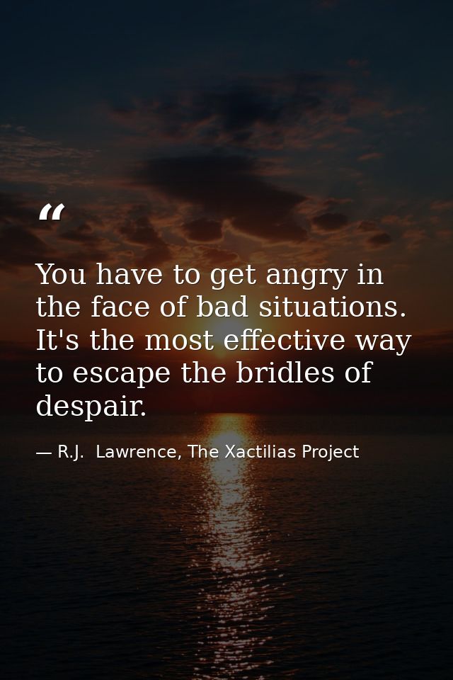 You have to get angry in the face of bad situations. It's the most effective way to escape the bridles of despair. — R.J.  Lawrence, The Xactilias Project