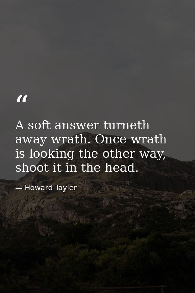 A soft answer turneth away wrath. Once wrath is looking the other way, shoot it in the head. — Howard Tayler