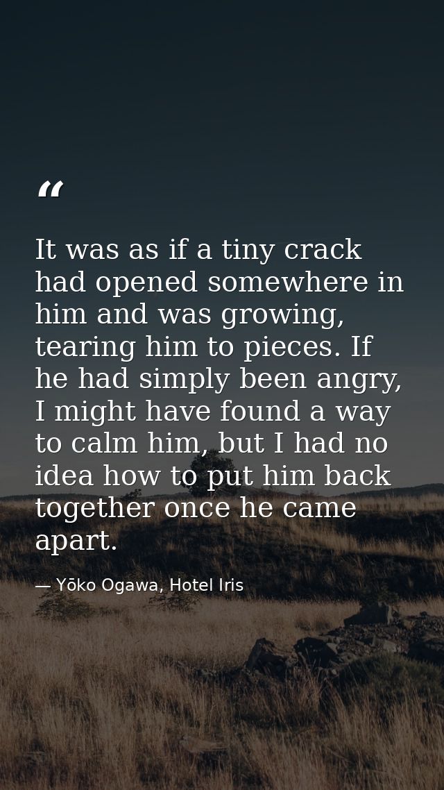 It was as if a tiny crack had opened somewhere in him and was growing, tearing him to pieces. If he had simply been angr — Yōko Ogawa, Hotel Iris