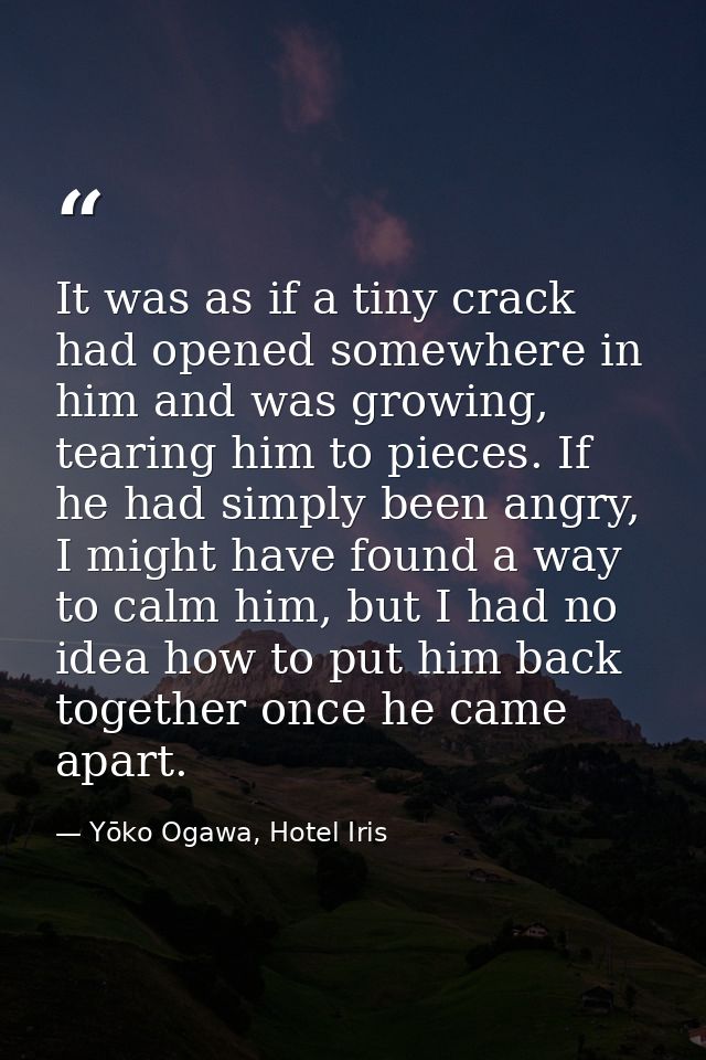 It was as if a tiny crack had opened somewhere in him and was growing, tearing him to pieces. If he had simply been angr — Yōko Ogawa, Hotel Iris