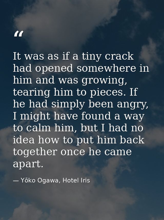 It was as if a tiny crack had opened somewhere in him and was growing, tearing him to pieces. If he had simply been angr — Yōko Ogawa, Hotel Iris