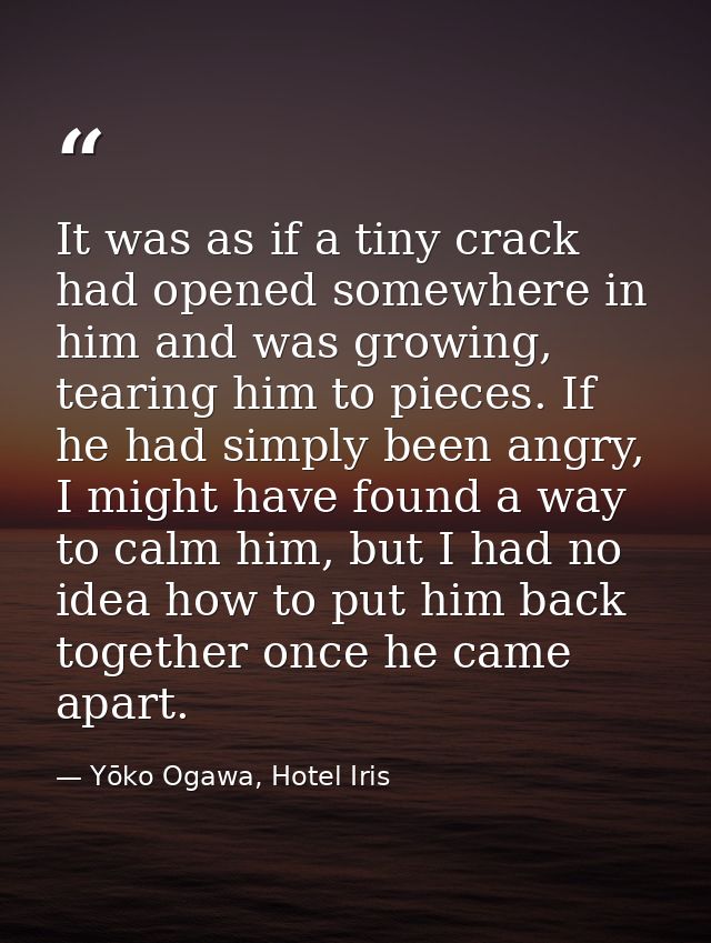 It was as if a tiny crack had opened somewhere in him and was growing, tearing him to pieces. If he had simply been angr — Yōko Ogawa, Hotel Iris