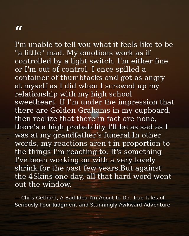 I'm unable to tell you what it feels like to be "a little" mad. My emotions work as if controlled by a light switch. I'm — Chris Gethard, A Bad Idea I'm About to Do: True Tales of Seriously Poor Judgment and Stunningly Awkward Adventure