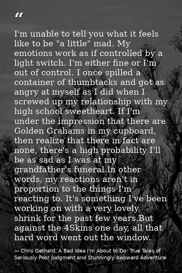 I'm unable to tell you what it feels like to be "a little" mad. My emotions work as if controlled by a light switch. I'm — Chris Gethard, A Bad Idea I'm About to Do: True Tales of Seriously Poor Judgment and Stunningly Awkward Adventure