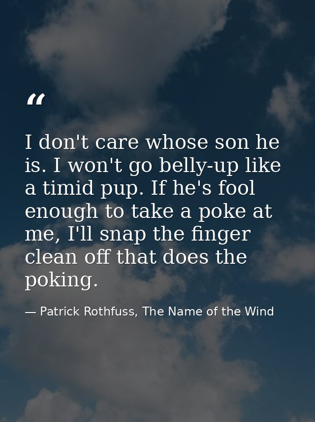 I don't care whose son he is. I won't go belly-up like a timid pup. If he's fool enough to take a poke at me, I'll snap  — Patrick Rothfuss, The Name of the Wind