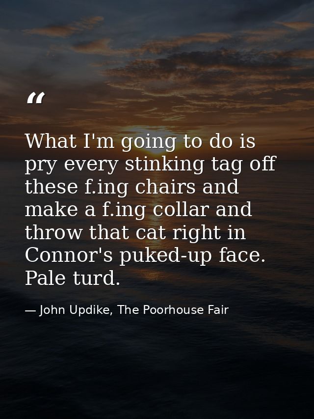 What I'm going to do is pry every stinking tag off these f.ing chairs and make a f.ing collar and throw that cat right i — John Updike, The Poorhouse Fair