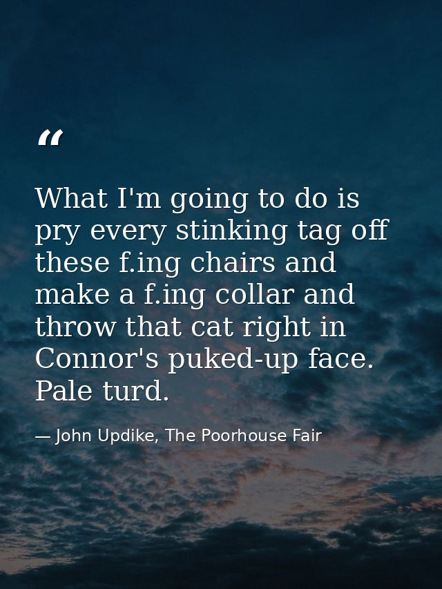 What I'm going to do is pry every stinking tag off these f.ing chairs and make a f.ing collar and throw that cat right i — John Updike, The Poorhouse Fair