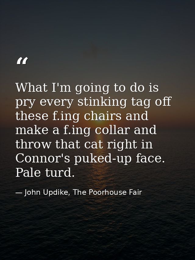What I'm going to do is pry every stinking tag off these f.ing chairs and make a f.ing collar and throw that cat right i — John Updike, The Poorhouse Fair