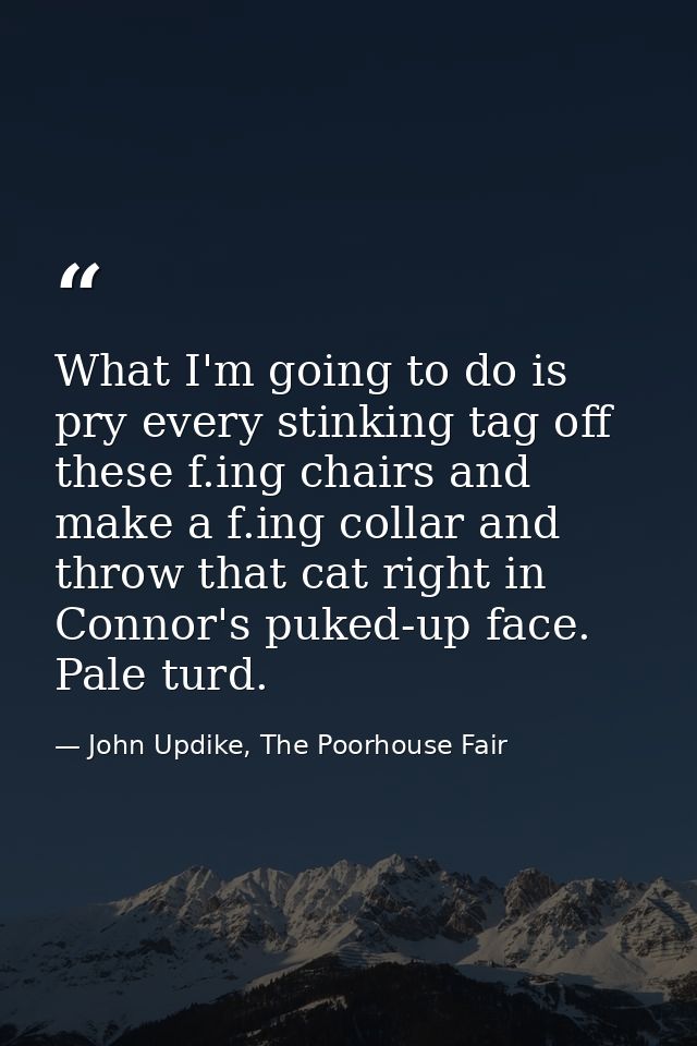 What I'm going to do is pry every stinking tag off these f.ing chairs and make a f.ing collar and throw that cat right i — John Updike, The Poorhouse Fair