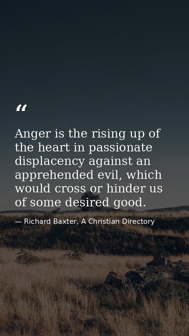 Anger is the rising up of the heart in passionate displacency against an apprehended evil, which would cross or hinder u — Richard Baxter, A Christian Directory