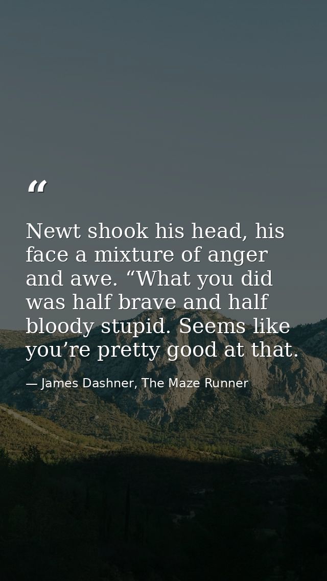 Newt shook his head, his face a mixture of anger and awe. “What you did was half brave and half bloody stupid. Seems lik — James Dashner, The Maze Runner