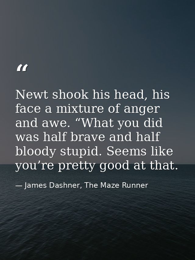 Newt shook his head, his face a mixture of anger and awe. “What you did was half brave and half bloody stupid. Seems lik — James Dashner, The Maze Runner