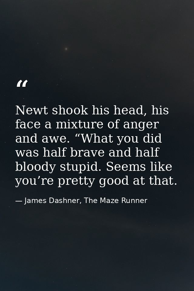 Newt shook his head, his face a mixture of anger and awe. “What you did was half brave and half bloody stupid. Seems lik — James Dashner, The Maze Runner