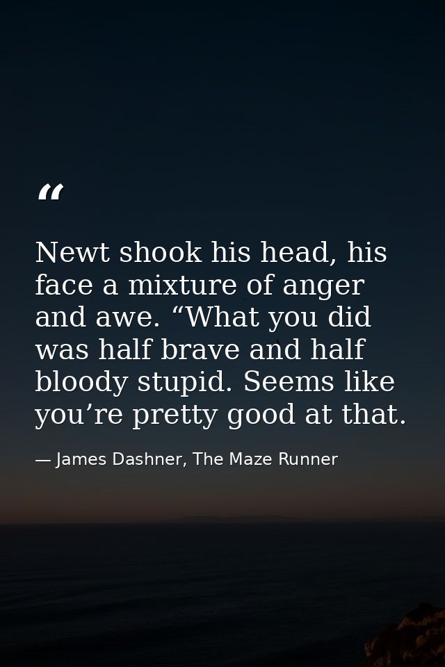 Newt shook his head, his face a mixture of anger and awe. “What you did was half brave and half bloody stupid. Seems lik — James Dashner, The Maze Runner
