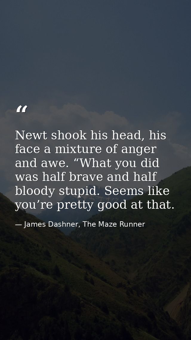 Newt shook his head, his face a mixture of anger and awe. “What you did was half brave and half bloody stupid. Seems lik — James Dashner, The Maze Runner
