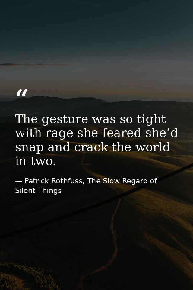 The gesture was so tight with rage she feared she’d snap and crack the world in two. — Patrick Rothfuss, The Slow Regard of Silent Things