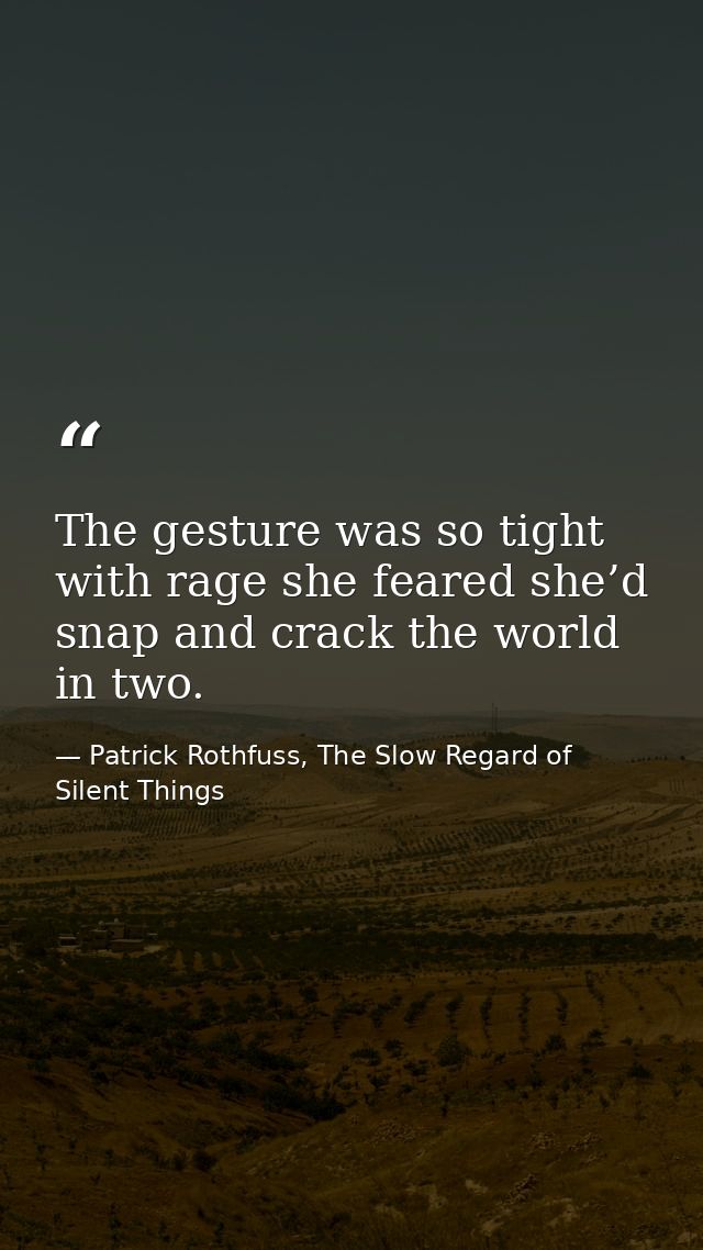 The gesture was so tight with rage she feared she’d snap and crack the world in two. — Patrick Rothfuss, The Slow Regard of Silent Things