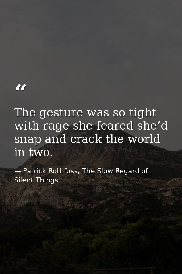 The gesture was so tight with rage she feared she’d snap and crack the world in two. — Patrick Rothfuss, The Slow Regard of Silent Things
