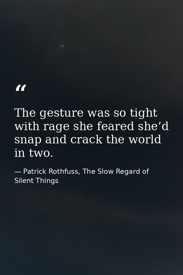 The gesture was so tight with rage she feared she’d snap and crack the world in two. — Patrick Rothfuss, The Slow Regard of Silent Things
