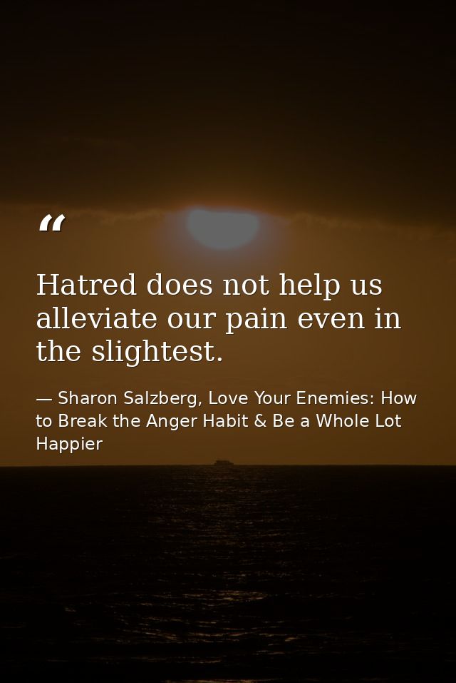 Hatred does not help us alleviate our pain even in the slightest. — Sharon Salzberg, Love Your Enemies: How to Break the Anger Habit & Be a Whole Lot Happier