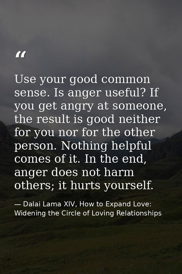 Use your good common sense. Is anger useful? If you get angry at someone, the result is good neither for you nor for the — Dalai Lama XIV, How to Expand Love: Widening the Circle of Loving Relationships