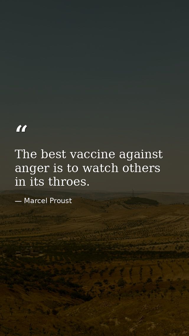 The best vaccine against anger is to watch others in its throes. — Marcel Proust