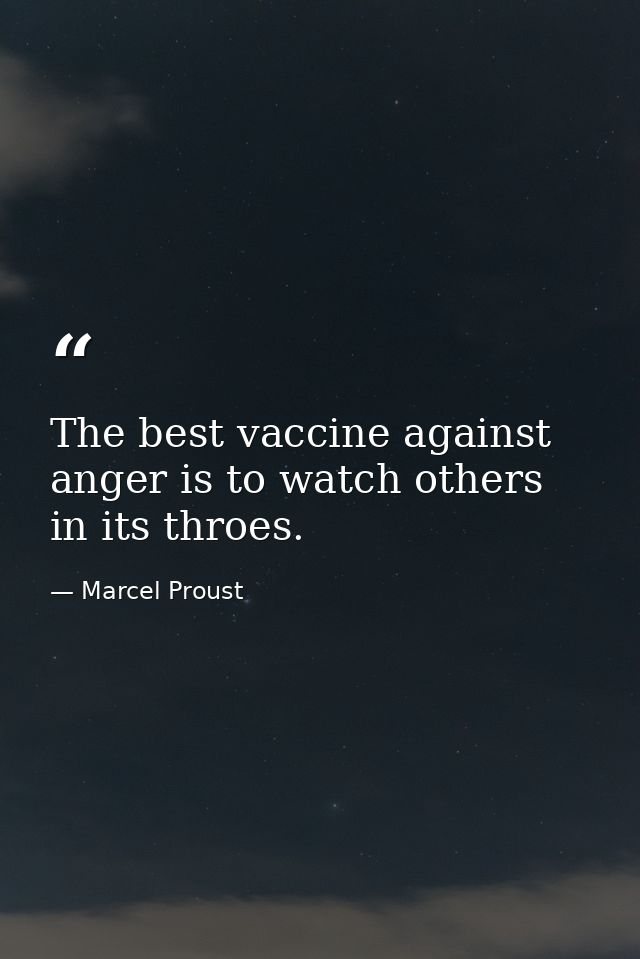 The best vaccine against anger is to watch others in its throes. — Marcel Proust