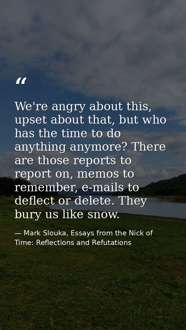 We're angry about this, upset about that, but who has the time to do anything anymore? There are those reports to report — Mark Slouka, Essays from the Nick of Time: Reflections and Refutations