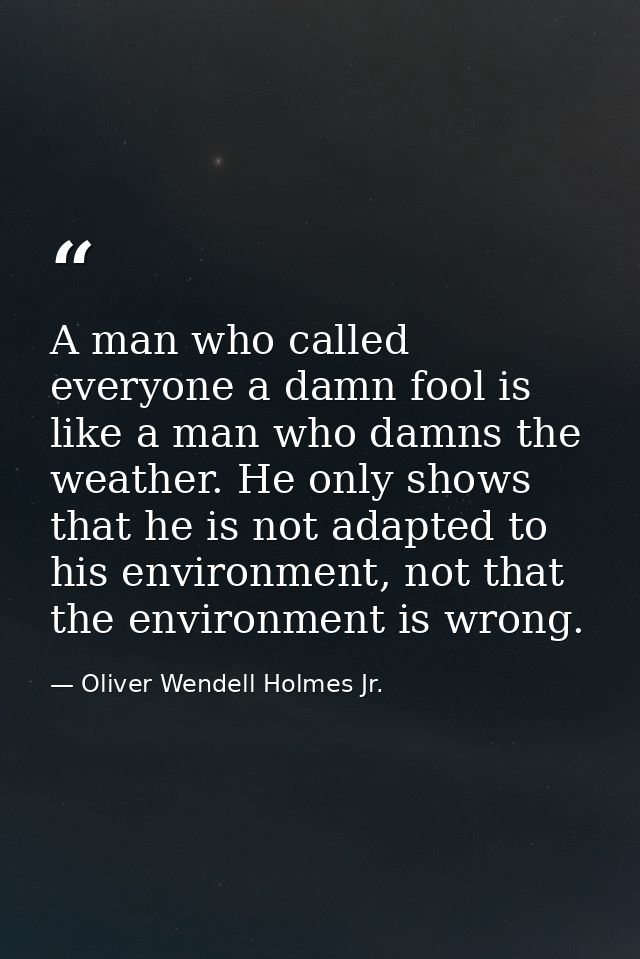 A man who called everyone a damn fool is like a man who damns the weather. He only shows that he is not adapted to his e — Oliver Wendell Holmes Jr.
