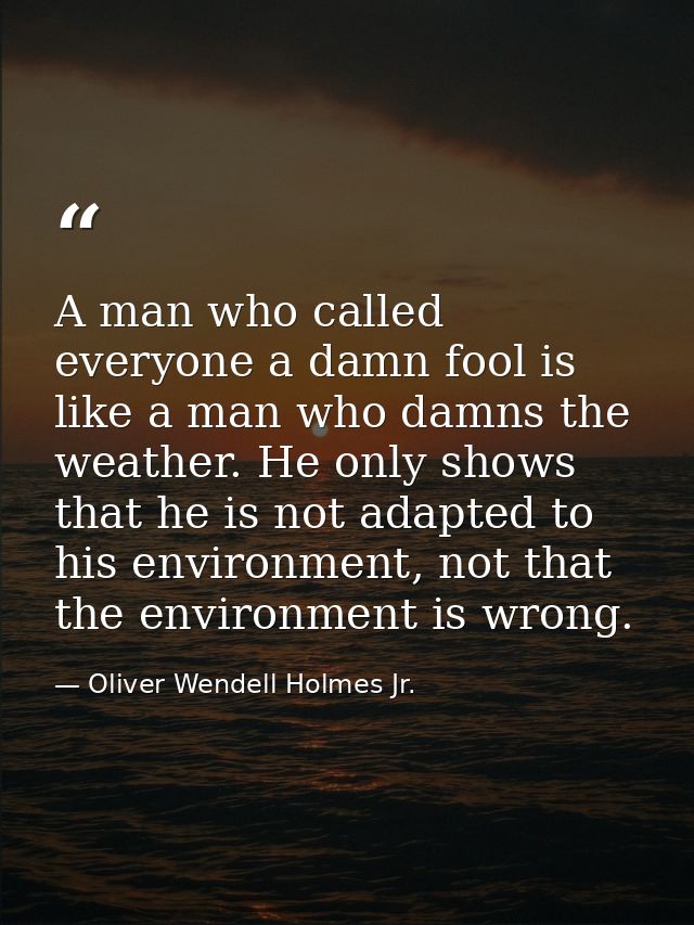 A man who called everyone a damn fool is like a man who damns the weather. He only shows that he is not adapted to his e — Oliver Wendell Holmes Jr.