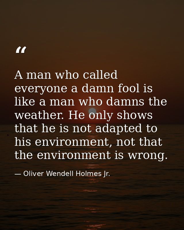 A man who called everyone a damn fool is like a man who damns the weather. He only shows that he is not adapted to his e — Oliver Wendell Holmes Jr.