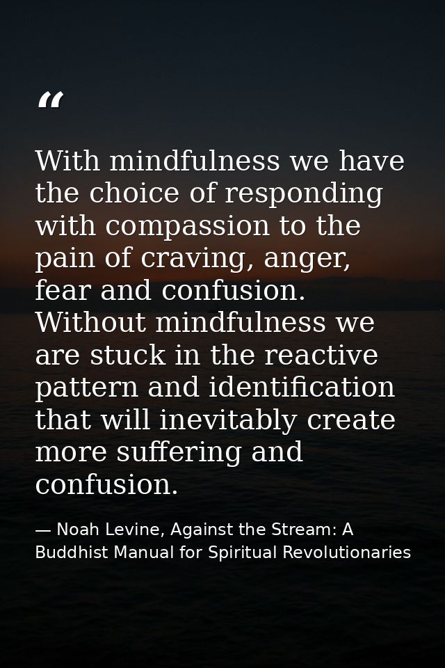 With mindfulness we have the choice of responding with compassion to the pain of craving, anger, fear and confusion. Wit — Noah Levine, Against the Stream: A Buddhist Manual for Spiritual Revolutionaries