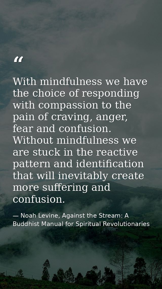 With mindfulness we have the choice of responding with compassion to the pain of craving, anger, fear and confusion. Wit — Noah Levine, Against the Stream: A Buddhist Manual for Spiritual Revolutionaries