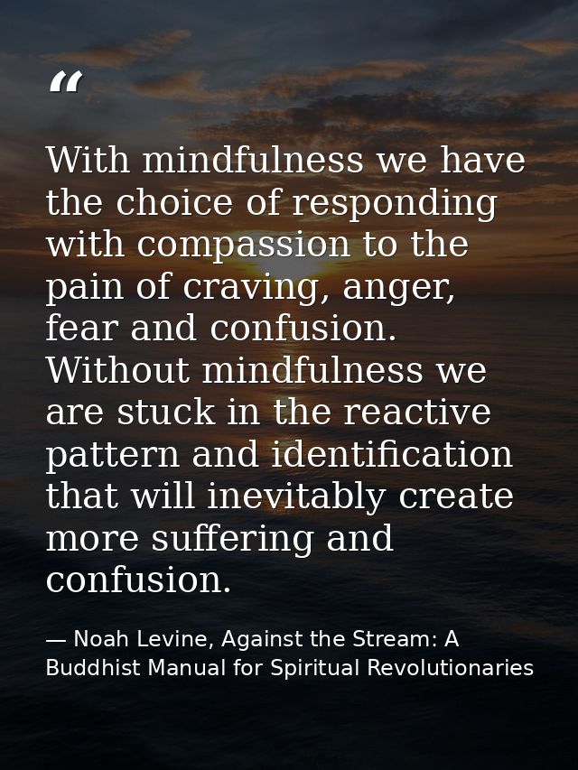 With mindfulness we have the choice of responding with compassion to the pain of craving, anger, fear and confusion. Wit — Noah Levine, Against the Stream: A Buddhist Manual for Spiritual Revolutionaries