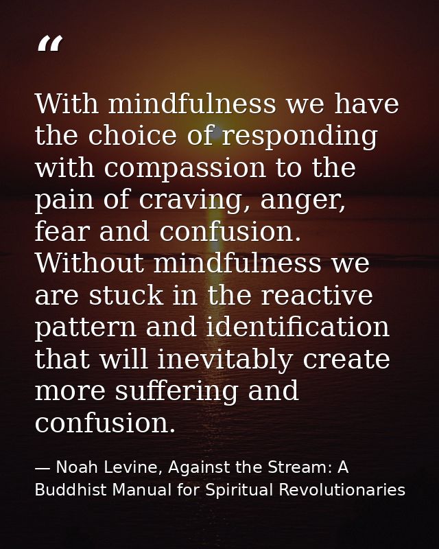 With mindfulness we have the choice of responding with compassion to the pain of craving, anger, fear and confusion. Wit — Noah Levine, Against the Stream: A Buddhist Manual for Spiritual Revolutionaries