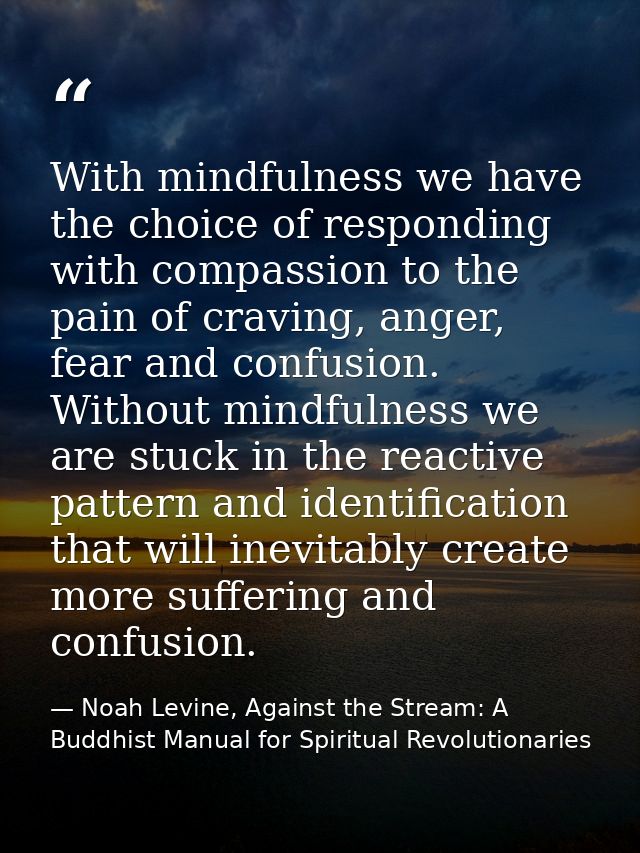 With mindfulness we have the choice of responding with compassion to the pain of craving, anger, fear and confusion. Wit — Noah Levine, Against the Stream: A Buddhist Manual for Spiritual Revolutionaries