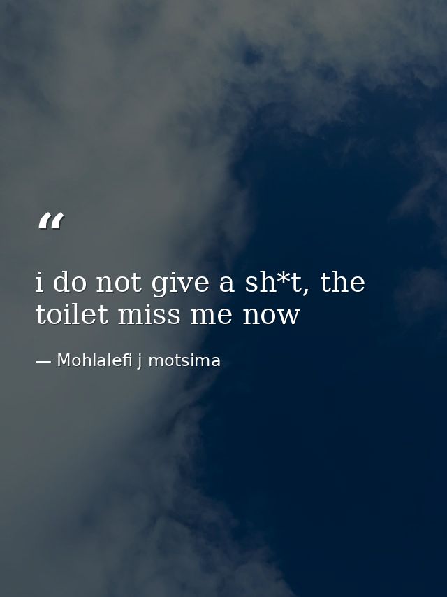i do not give a sh*t, the toilet miss me now — Mohlalefi j motsima