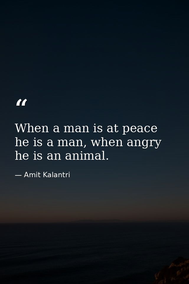 When a man is at peace he is a man, when angry he is an animal. — Amit Kalantri