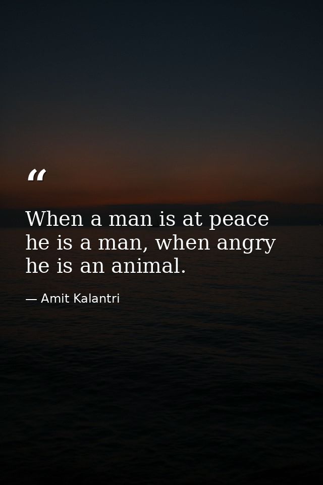 When a man is at peace he is a man, when angry he is an animal. — Amit Kalantri
